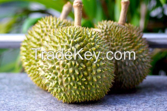 FRESH DURIAN