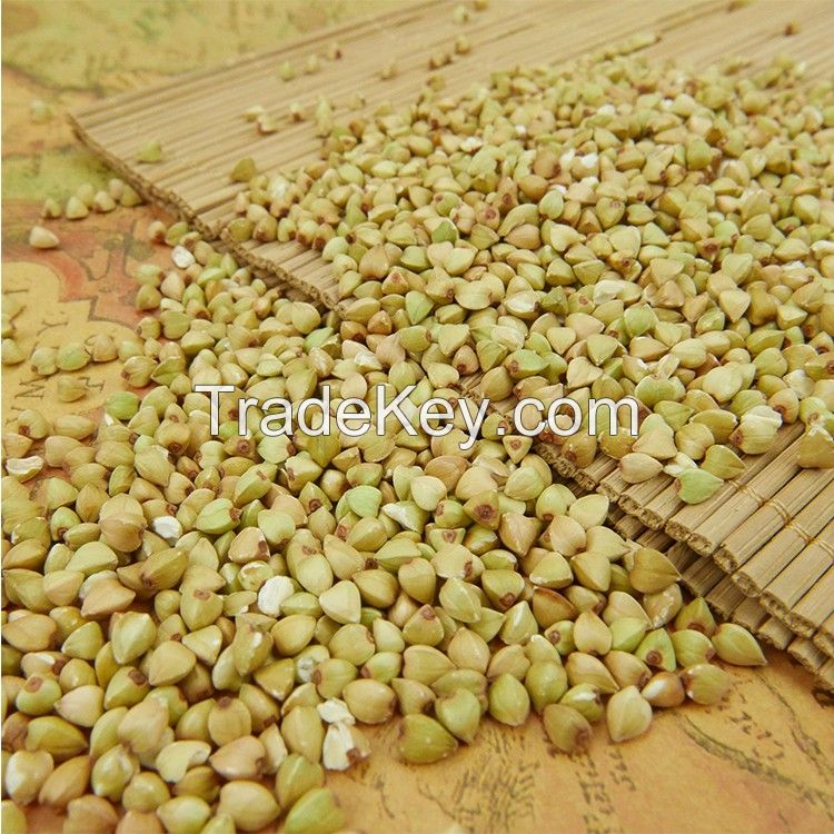 2017 new high quality oats for sale at factory prices wholesale