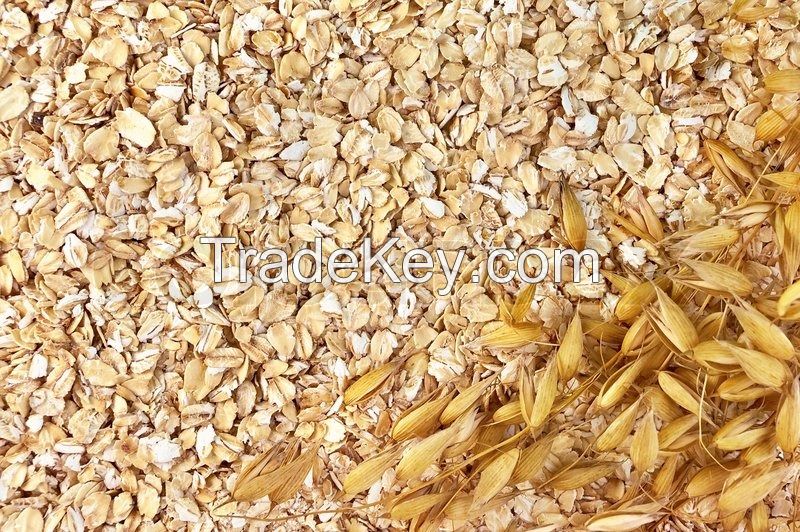 2018 new high quality oats for sale at factory prices