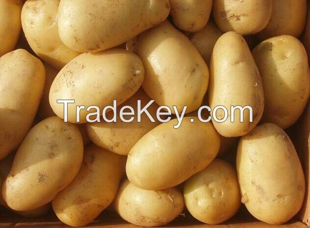 Fresh Potatoes