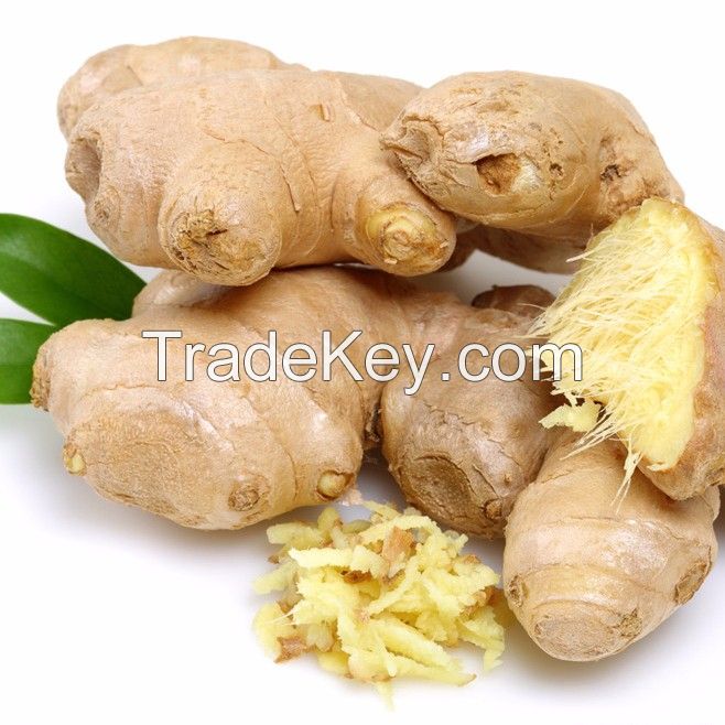 Fresh Ginger