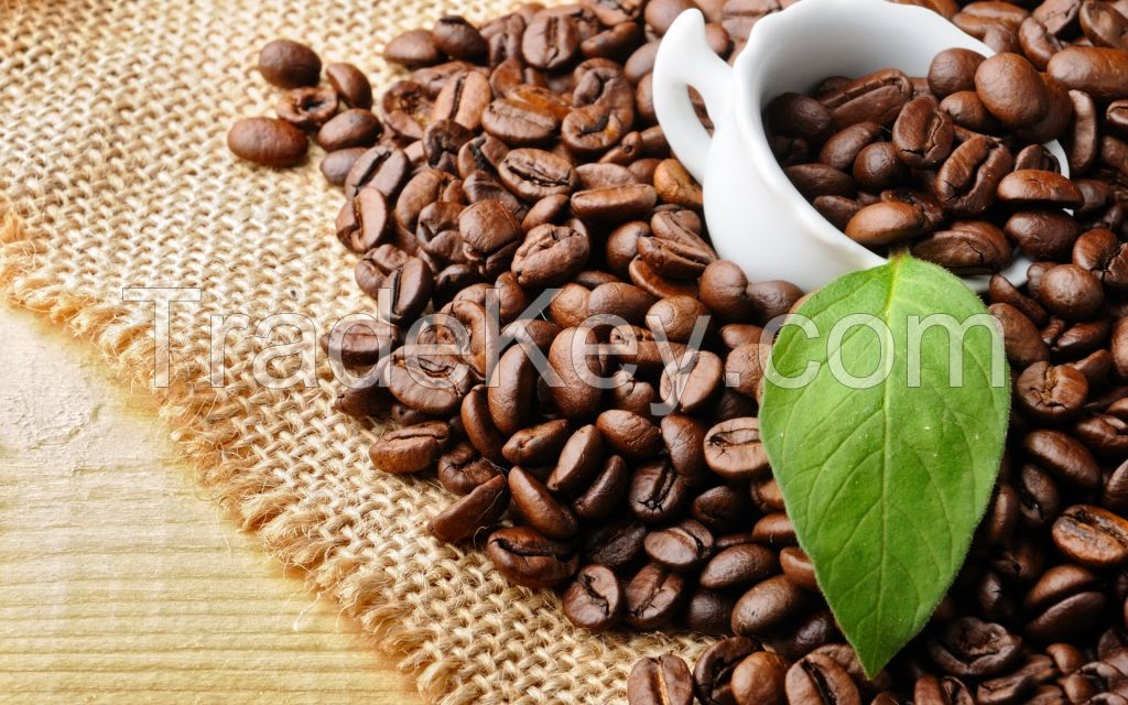 Sell MOKA ROASTED COFFEE BEANS - VIETDELI