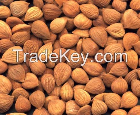 Quality Raw and Roasted Almonds Nuts