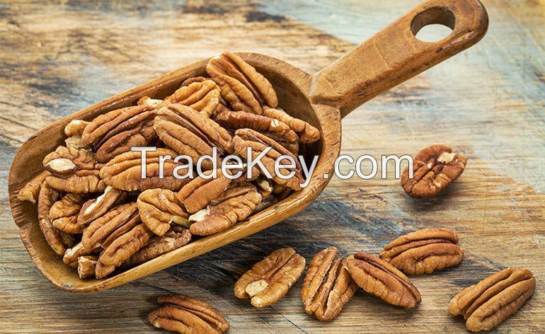 Pecan Nuts of high quality