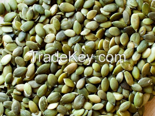 Pumpkin seed of high quality