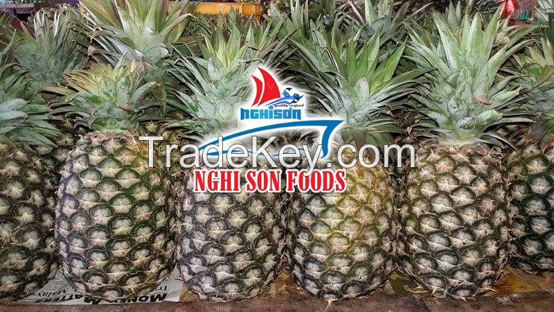 VIETNAM PINEAPPLE (Ms Ruby +84 372828779)