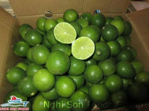 FRESH LIME (Ms Ruby +84 342828779)