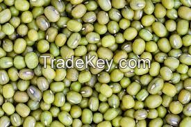 Green  3.6mm up / Green Mung Bean/ Green Moong Beans
