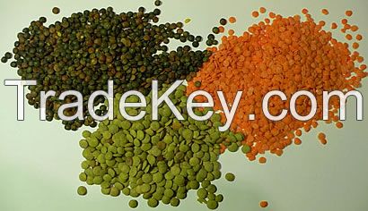 Red, Green Whole and Split Lentils