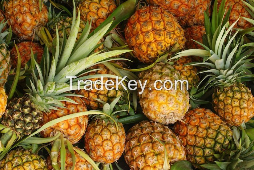 Fresh Pineapples