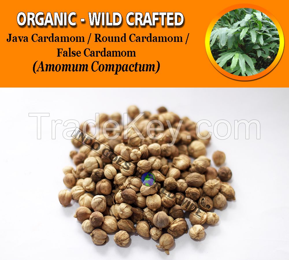 WHOLESALE Java Cardamom Round Cardamom False Cardamom Amomum Compactum Organic Wild Crafted Herbs