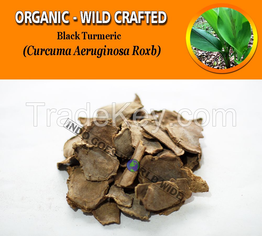 WHOLESALE Black Turmeric Curcuma Aeruginosa Organic Wild Crafted Herbs
