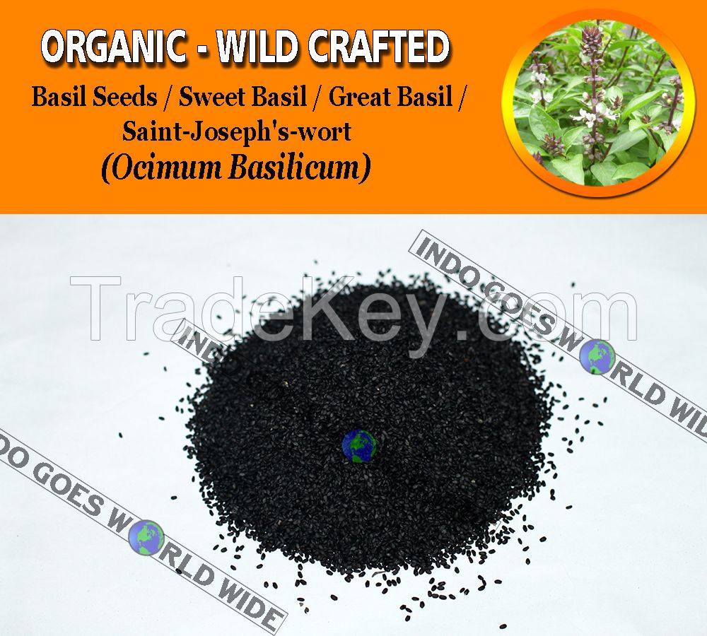 WHOLESALE Basil Seeds Sweet Basil Great Basil Saint-Joseph's-wort Ocimum Basilicum Organic Wild Crafted Herbs