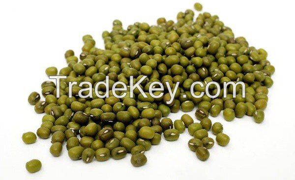 Mung Beans from Russia
