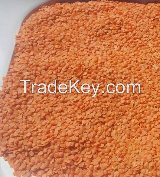 Red split lentils, whole lentils, green lentils, green mung, beans, chickpeas, pigeon, pulses, soybeans