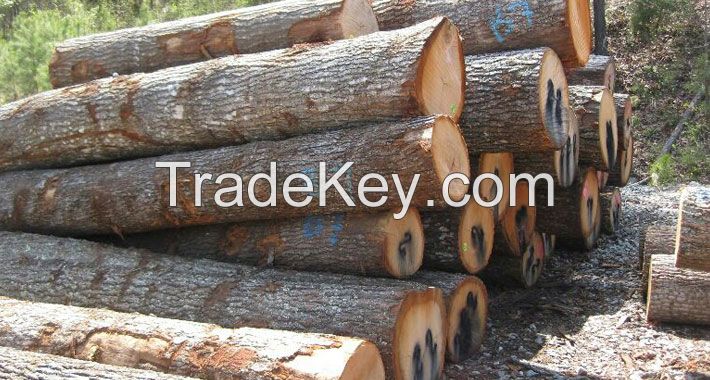wood logs, Sawn Wood, planks, Pine and Zingana, teak, pine, radiata, wood chips, pellets, planks, firewood, mangrove