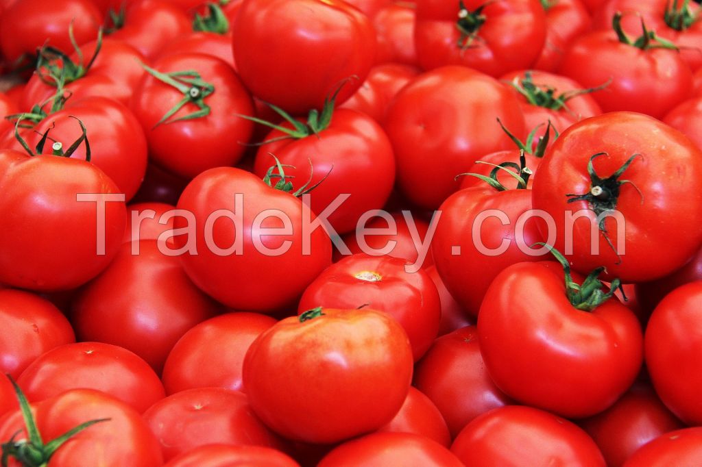 Fresh organic tomatoes, vegetables, fruits, salad, Green leaves, Agriculture