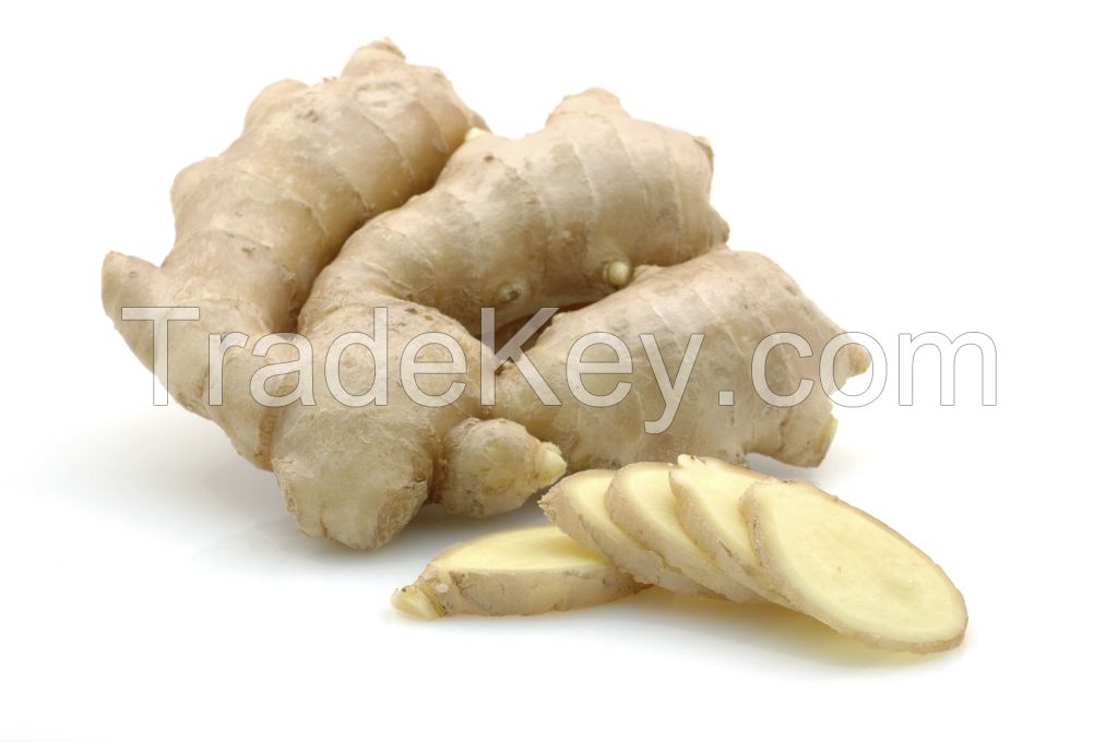 Wholesale organic fresh ginger price, dry ginger, Quality Fresh Onions, Pearl Onions, Red Onions, Shallots, Yellow Onions, white, leeks, Ginger, Garlic, Beetroots, mints, spices, vegetables