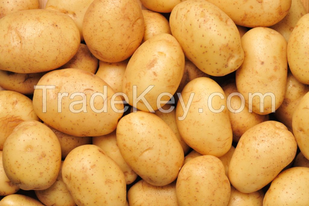Fresh potatoes, sweet potatoes, irish potatoes, chips, flour, starch, cake