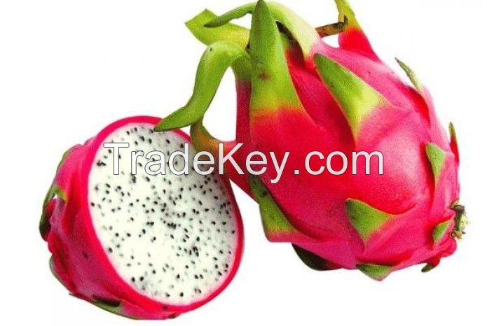 Dragon fruits, Durian, Olives, Guavas, banana, Papaya, avocado, oranges, apples, grapes, mangoes, Lemon, Oranges, Limes, Citrus, pineapples, Cherries, Berries, Peaches Apricots, Plums, 