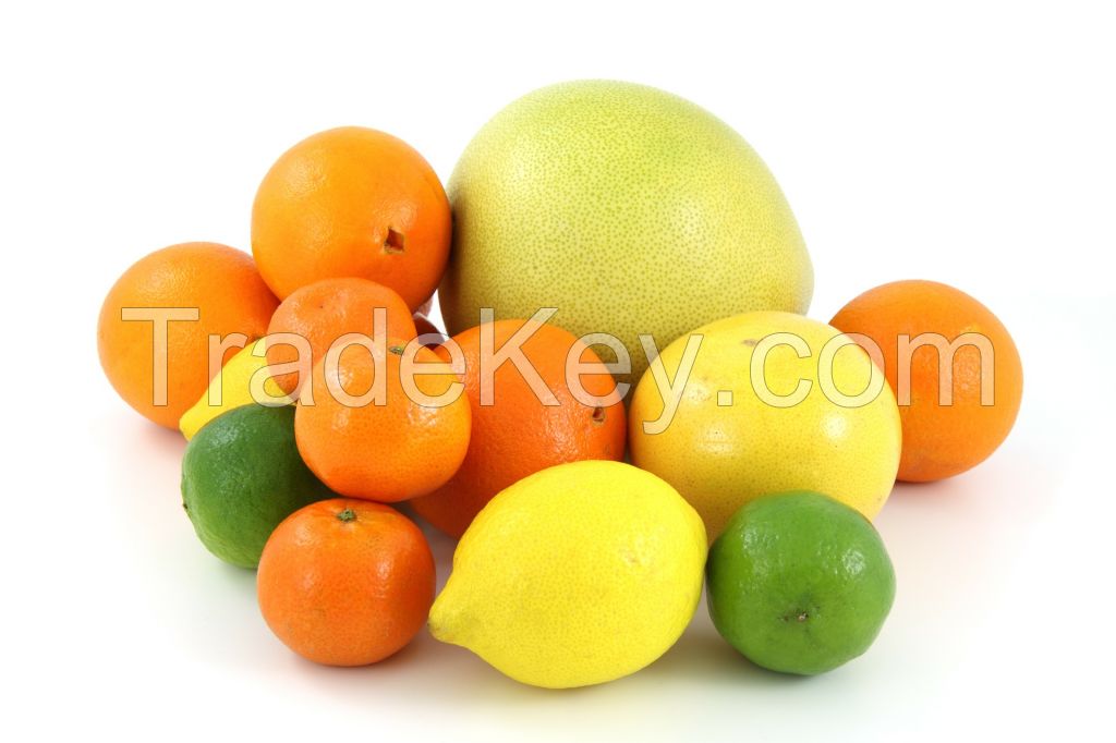 Lemon, Oranges, Limes, Citrus, pineapples, Cherries, Berries, Peaches Apricots Plums Olives, Guavas, banana, Papaya, avocado, oranges, apples, grapes, mangoes