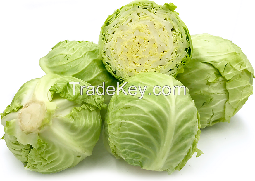 Wholesale Fresh Round Cabbage, Green Cabbage Purple Cabbage, vegetable, lettuce, garden