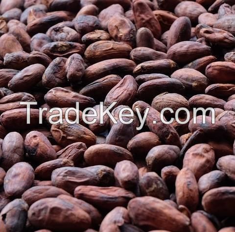 Cocoa Beans, Cocoa Powder, Arabica Coffee Beans, Robusta Coffee Beans, Organic Butter Beans, Kidney, Chickpeas, Soybeans, Lentils, Vigna, Peas, Mung, Black Beans, Broad Beans, Lima Beans