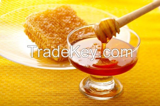 Refined, Raw Honey Extra Light Amber Color natural honey purified honey, natural, bee wax, wax, bees