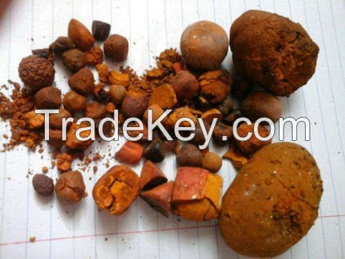 Best Quality Dried Natural Ox/Cow Gallstone, Bile stones, gall stones, Ox gallstones