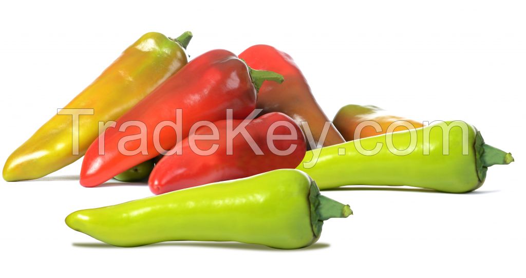 Fresh pepper, organic Capsicum, color pepper (green, red, yellow) chilli, black pepper, spices, vegetable, onions
