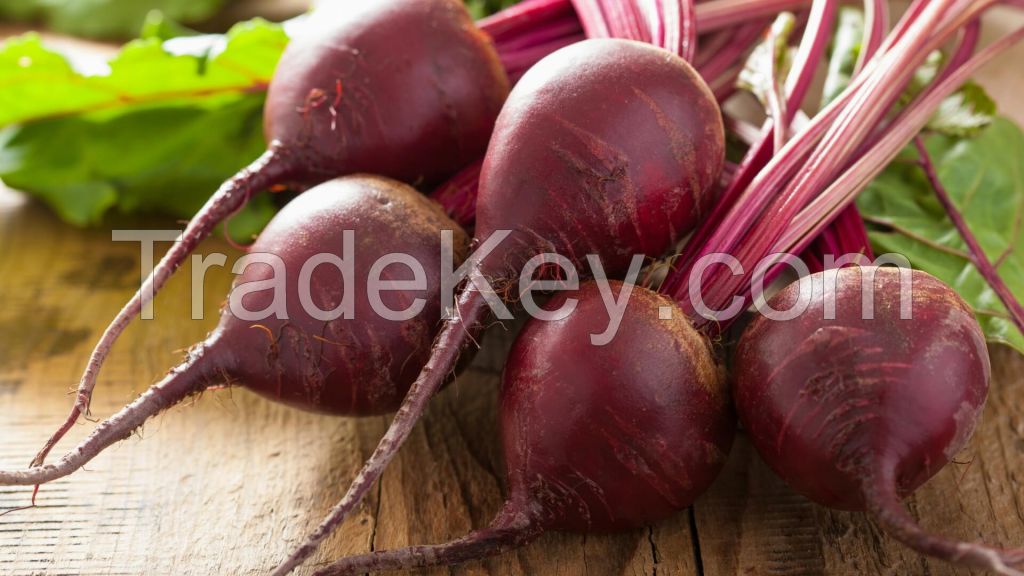 Beetroot Extract, Beetroot Juice Powder, Sugar Beet P.E., vegetable, fruits, spice, salade