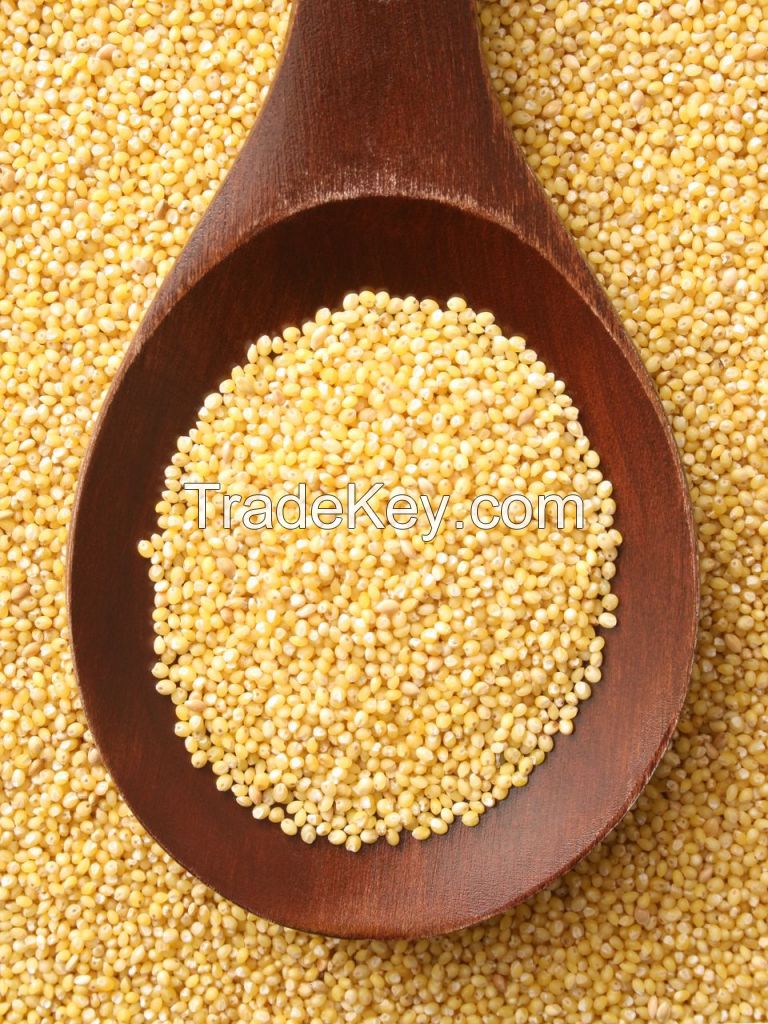 Millet, Hulled, Barley, Rye Malt, Corn, Yellow Corn, White Corn, Wheat Buckwheat, Sorghum, Chia Seeds, Quinoa, Oats