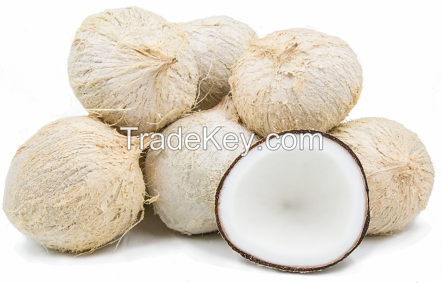 Fresh organic coconuts, Young coconuts, fresh coconut, organic coco nut, nuts, coconut copra, meal, husked, desiccated coconut, 