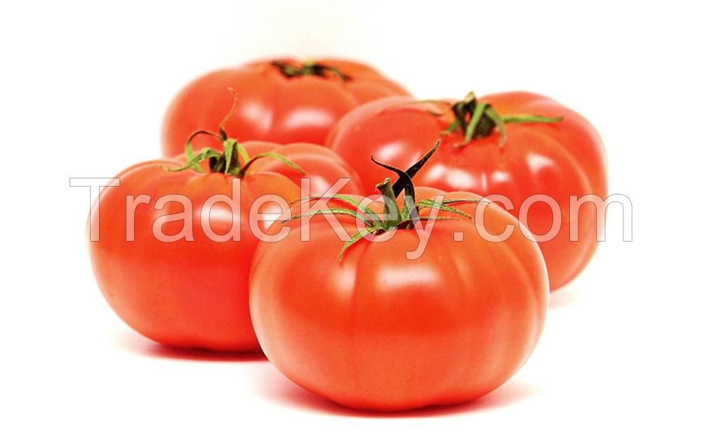 Matured Fresh organic tomatoes, organic tomato, vegetables, fruits, salad, Green leaves, Agriculture