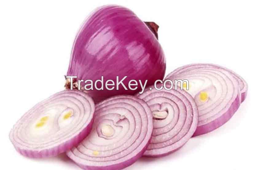 Fresh organic onions, Dry and fresh garlic, ginger, spices, vegetable, herbs, tuber, organic, garden