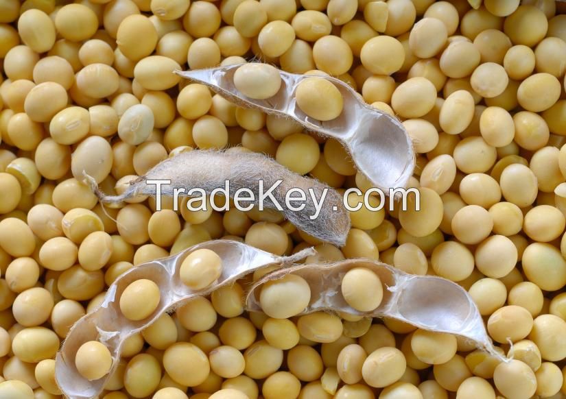 Organic soya bean, soybean, Soybeans Seed, Grains, oil, non GMO soybean, soybean meal, Soy oil, Pulses, Lentils, Peas