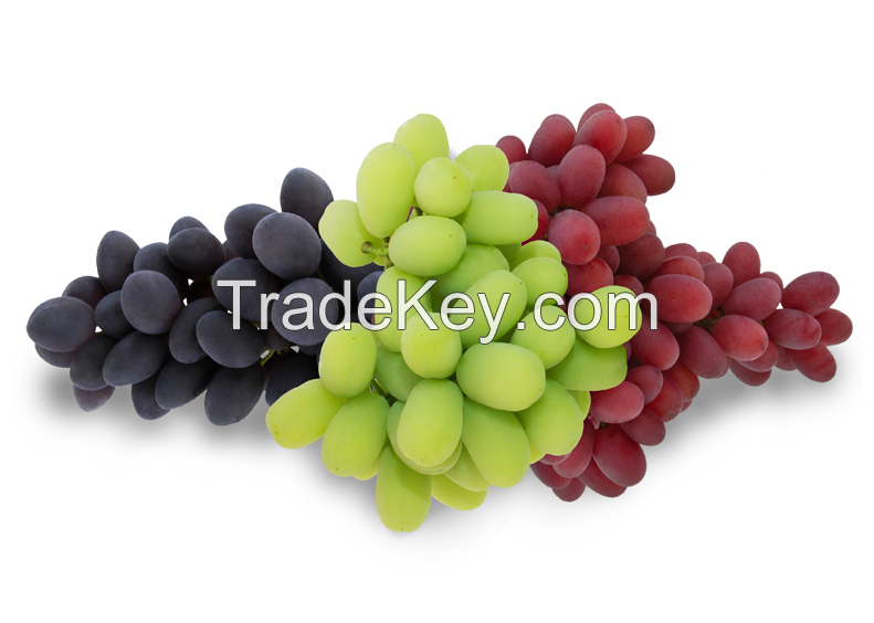 Fresh harvested Grapes, Durian, Dragon fruits, Olives, Guavas, banana, Papaya, avocado, oranges, apples, mangoes, Lemon, Oranges, Limes, Citrus, pineapples, Cherries, Berries, Peaches Apricots, Plums, 