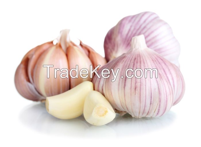 Dry and fresh garlic, ginger, onions, spices, vegetable, herbs, tuber, organic, garden