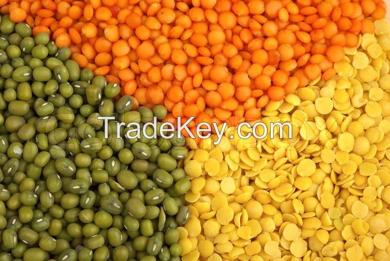 whole lentils, Red split lentils, green lentils, green mung, beans, chickpeas, pigeon, pulses, soybeans