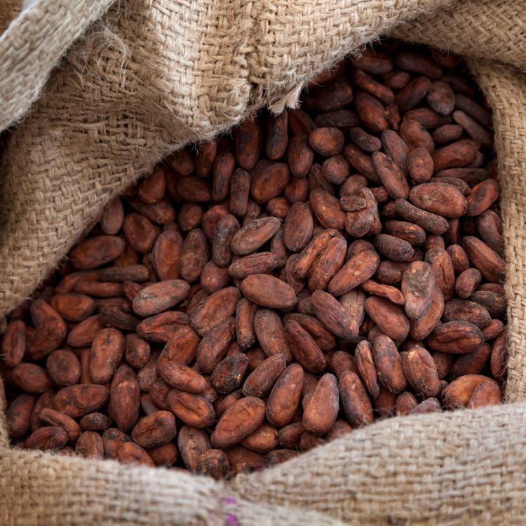 Grade A Cocoa Beans