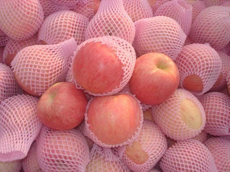 New arrival Fresh Fuji apples