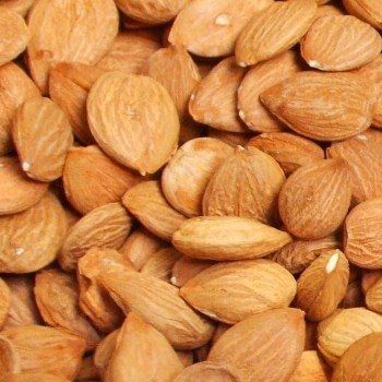 Grade A Apricot Kernels available