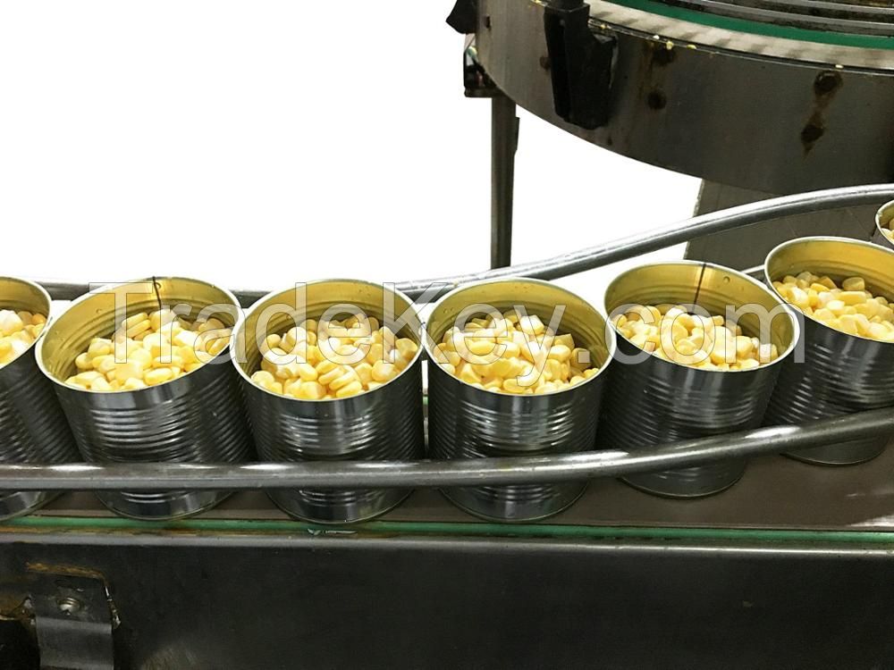 Canned Sweet Corn , Canned Corn Kernels , Canned Corn