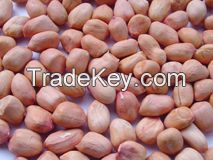 First Quality Peanuts Nut for Export