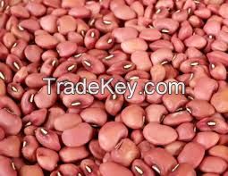 Red Cowpeas, brown Cowpeas, beans