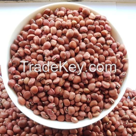 Red mung beans MC & HPS - Red cowpea beans