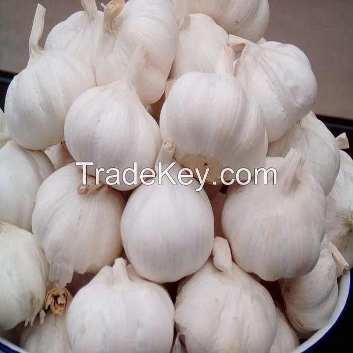 Pure Fresh White Garlic