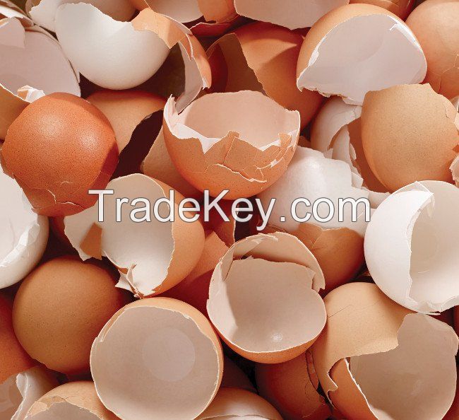 Broken Eggs shell / Empty Egg Shell for animal