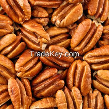 pecan nuts best price