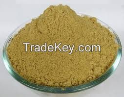 High Quality And Competitive Price Ginger Extract Powder